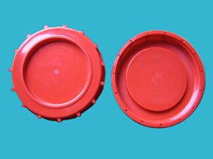 50LȫzwҎ񣺽zֱ247.6mm